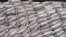 Donated maize