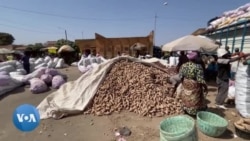 La culture de la pomme de terre redémarre au Burkina