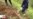 16x9 Image