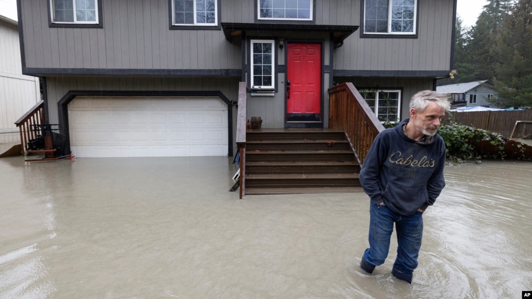 Bernie Crouse wades through water outside his home after the nearby South Fork Stillaguamish River crested early in the morning flooding several houses in this neighborhood, Dec. 5, 2023, in the Arlington area of Seattle, Washington. 