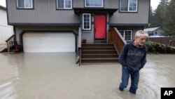 Bernie Crouse wades through water outside his home after the nearby South Fork Stillaguamish River crested early in the morning flooding several houses in this neighborhood, Dec. 5, 2023, in the Arlington area of Seattle, Washington. 