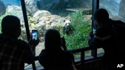 Visitors watch Giant panda Mei Xiang as he eats bamboo in his enclosure at the Smithsonian's National Zoo in Washington, Sept. 28, 2023.