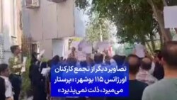 تصاویر دیگر از تجمع کارکنان اورژانس ۱۱۵ بوشهر: «پرستار می‌میرد، ذلت نمی‌پذیرد»