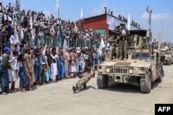 Personel keamanan Taliban menunjukkan keterampilan mereka saat mengendarai kendaraan militer selama parade untuk merayakan ulang tahun ketiga pengambilalihan Afghanistan oleh Taliban di Khost, 14 Agustus 2024. (Foto oleh AFP)