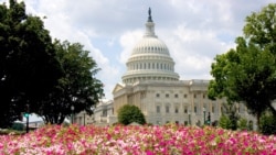 Залежно від результатів процедурних та сигнальних голосувань в Сенаті, сенатори зможуть розглянути законопроєкт по суті вже у вівторок, або в середу.  Фото: Будівля Капітолія, Вашингтон