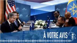  À Votre Avis : l'initiative ADAPT pour soutenir la Guinée