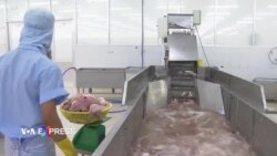 Thượng nghị sĩ Mỹ phản đối giảm thuế chống phá giá đối với cá da trơn VN