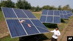 FILE - Farmer Pravinbhai Parmar cleans a solar panel installed at a farm in Dhundi village of Kheda district in western Indian Gujarat state, India, Jan. 13, 2023. 