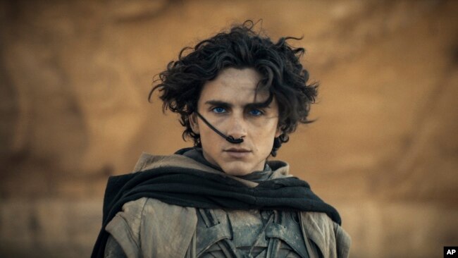 This image released by Warner Bros. Pictures shows Timothee Chalamet in a scene from