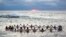 A group consisting mostly of women, who call themselves "The Endorphins", gather for a sunrise swim in the chilly waters of Lake Ontario during freezing temperatures in Toronto, Ontario, Canada, Jan. 17, 2024. 