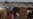 Community Hostility in Chad Rising as Refugee and Displacement Crisis Grows