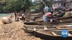 Novo rumo para pesca artesanal pode salvar florestas