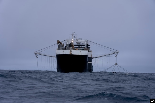 The Norwegian Aker BioMarine's Antarctic Sea trawls for krill off the coast of the South Orkney Islands on March 10, 2023. (AP Photo/David Keyton)