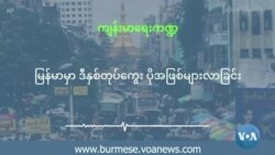 မြန်မာမှာ ဒီနှစ် တုပ်ကွေး ပိုအဖြစ်များလာခြင်း (ဦးဝင်းမင်း)