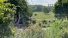 A scenic view at the U.S. National Arboretum in Washington, D.C., June 1, 2023. 