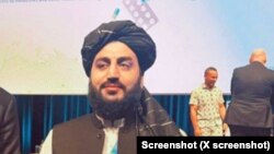 د طالبانو د حکومت د صحت وزارت چارواکی عبدالباري عمر چې د خوړو او دوایانو د کنټرول مشر دی، نېډرلېنډز او جرمني کې لیدل شوی دی