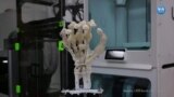 Bilimadamları sentetik kemik, bağ ve tendonlardan oluşan 3 boyutlu robot el bastı 