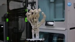 Bilimadamları sentetik kemik, bağ ve tendonlardan oluşan 3 boyutlu robot el bastı 