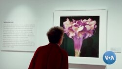 National Museum of Women in the Arts Reopens in DC 