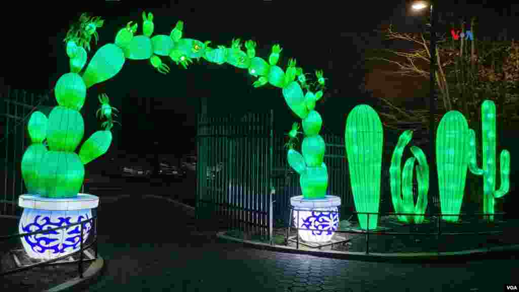 Los visitantes pueden gozar de esta experiencia que cuenta de medio millón de luces LED que iluminan los senderos del zoo.