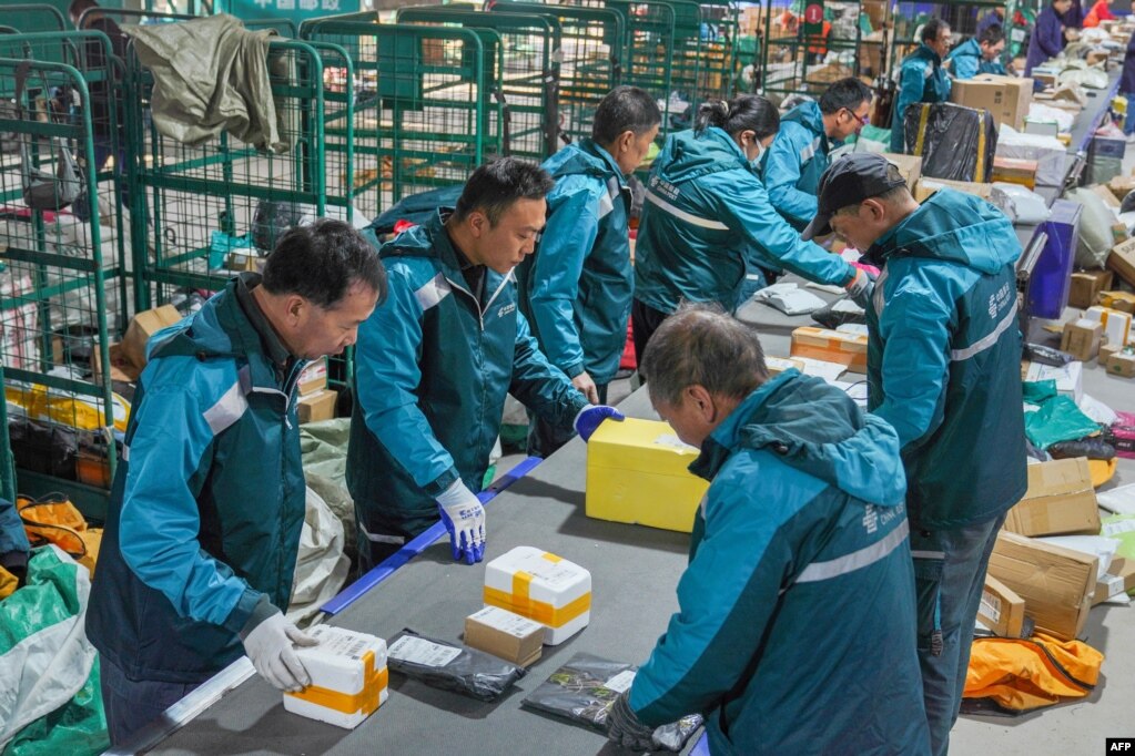 中国山东省邹平市一个物流中心的工人正在光棍节前夕分拣包裹。（2023年11月10日）(photo:VOA)