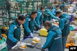 中国山东省邹平市一个物流中心的工人正在光棍节前夕分拣包裹。（2023年11月10日）