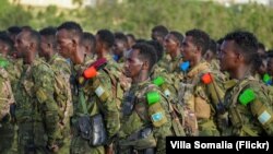 Ciidamada Soomaaliya 