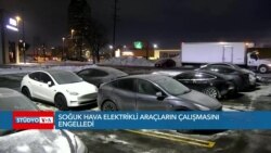 ABD'de aşırı soğuklar elektrikli araçları vurdu