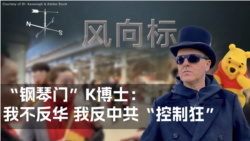 【风向标】“钢琴门”K博士：我不反华 我反中共“控制狂”