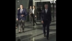 北约秘书长对以哈停火延长表示欢迎 