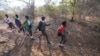 Zimbabwean Officials Train Children to Coexist with Dangerous Wildlife