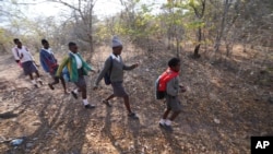 Esther Bote, 14, walks to school with her friends in a bushy area on the periphery of the Save Valley Conservancy in Zimbabwe, Tuesday, July 9, 2024. 