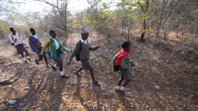 Zimbabwean Officials Train Children to Coexist with Dangerous Wildlife