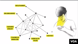 La investigación detalla los actores clave en la desinformación que promueve mensajes en redes sociales.