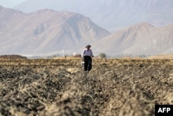 FILE - A Kurdish farmer sows seeds in a field at a farm in the Rania district, near the Dukan Dam northwest of Iraq's northeastern city of Sulaimaniyah in the autonomous Kurdistan region on July 2, 2022, where reservoir waters have been receding.