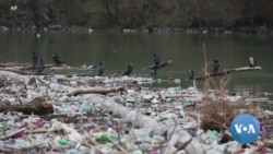 New International Push Underway to End Plastic Pollution 