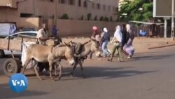 Bamako : quand les ânes ne suffisent plus à gérer la crise des déchets