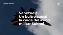 Venezuela: Un buitre causó la caída del avión militar Sukhoi que le costó la vida a un piloto