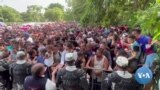 Ilha Ellis: A porta de entrada para a América no início do século XX