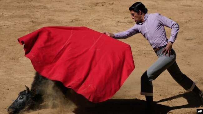 Mexican bullfighter Sergio Flores demonstrates his capework during a bullfighting workshop, in Aculco, Mexico, Jan. 25, 2024.