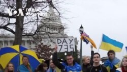 Проукраїнські активісти провели мітинг під Конгресом США. Відео