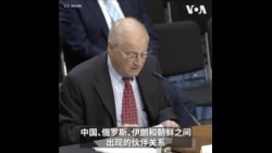 美国防战略委员会：中俄伊朝伙伴关系是重大战略转变