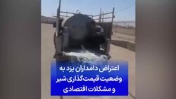اعتراض دامداران یزد به وضعیت قیمت‌گذاری شیر و مشکلات اقتصادی