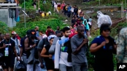 Migrants heading north line up to take a boat in Bajo Chiquito, Darien province, Panama, after walking across the Darien Gap from Colombia, Oct. 5, 2023. 