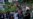 VOA Immigration Weekly Recap, Oct. 1–7