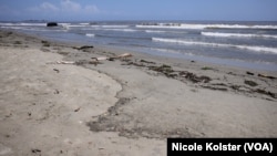 Playa El Palito, Carabobo, Venezuela, 15 días después de que se informó de un derrame de hidrocarburos en la zona