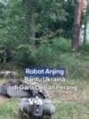 Robot Anjing Bantu Ukraina di Garis Depan Perang