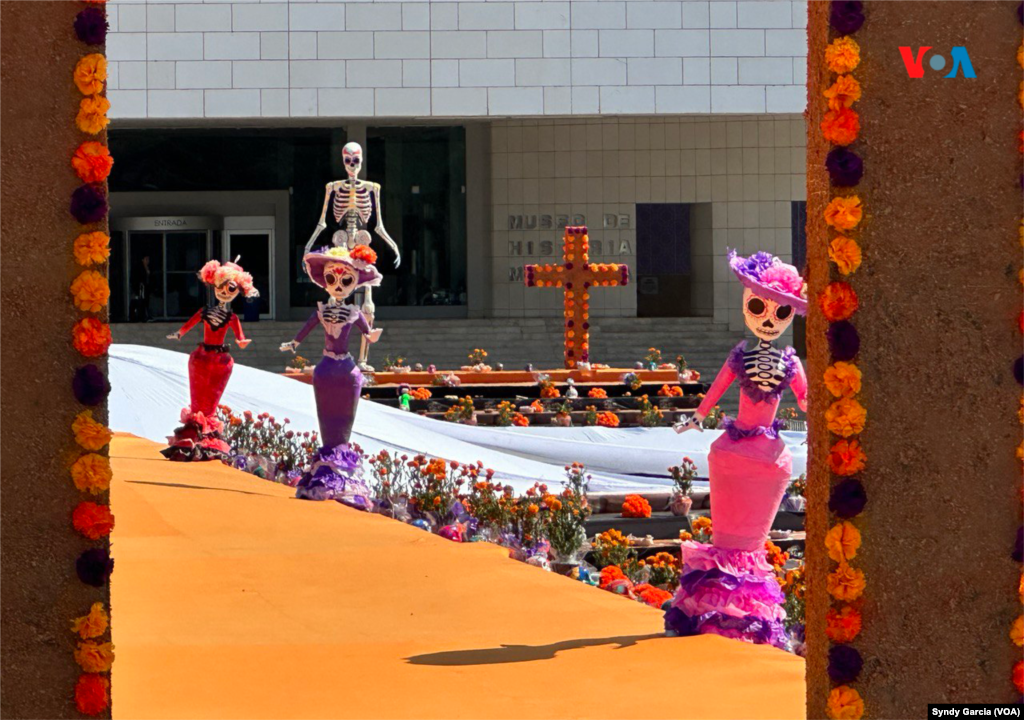 Fueron un total de 80 personas las que participaron en el montaje del altar de muertos que ostentó por unos días el récord mundial en México de ser al más grande en 2023.