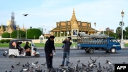 Seorang turis asing memberi makan merpati di depan Istana Kerajaan di Phnom Penh pada 10 Oktober 2023. (TANG CHHIN Sothy / AFP)