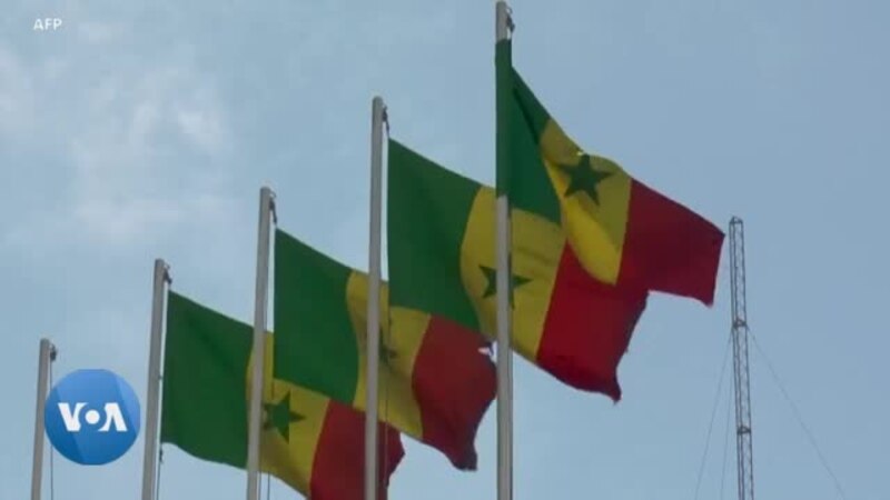 Sénégal : l'amnistie divise face à la crise politique et au report de la présidentielle